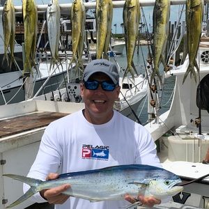 Meet your Posher, Edward